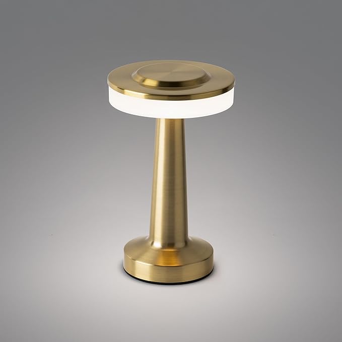 Radiance LED Cordless USB-C Re-Chargeable Desk Lamp, 5200mAh Battery Operated with 3 Color Temperature 2700K-3000K-3500K and Fingertip Touch On/Off Plus Dimming in Satin Brass