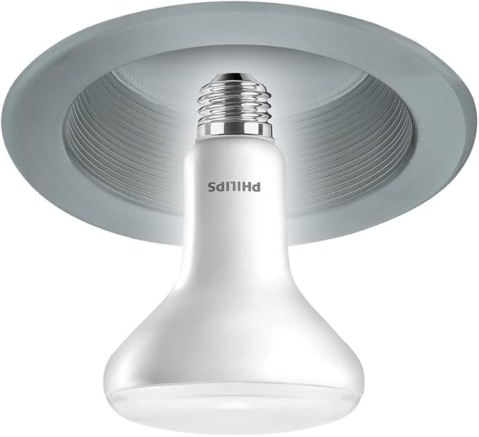 PHILIPS LED 100W BR30 4-Pack Daylight (5000K) 1400 Lumen (15W = 100W) Dimmable Frosted Flicker-Free Light Bulbs