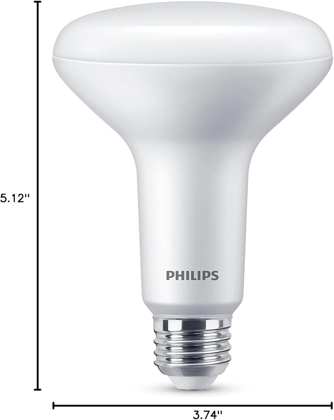 PHILIPS LED 65W BR30 3-Pack Basic Daylight (5000K) 650 Lumen (9W = 65W) Frosted Flicker-Free Light Bulbs