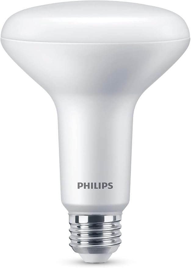 PHILIPS LED 100W BR30 4-Pack Daylight (5000K) 1400 Lumen (15W = 100W) Dimmable Frosted Flicker-Free Light Bulbs
