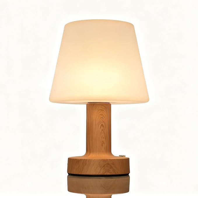 Shower Lamp Mushroom Lamp LED Table Lamp for Bedroom 3-Level Dimmable Rechargeable Desk Bedside Small Lamps Night Light for Bedroom, Living Room, Study and Home Offices Decor
