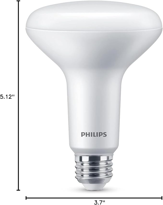 PHILIPS LED 100W BR30 4-Pack Daylight (5000K) 1400 Lumen (15W = 100W) Dimmable Frosted Flicker-Free Light Bulbs