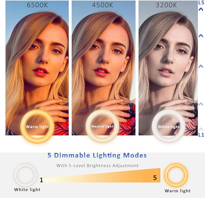 Video Conference Lighting Kit, Ring Light for Monitor Clip On,for Remote Working, Distance Learning,Zoom Call, Self Broadcasting and Live Streaming, Computer Laptop Video Conferencing