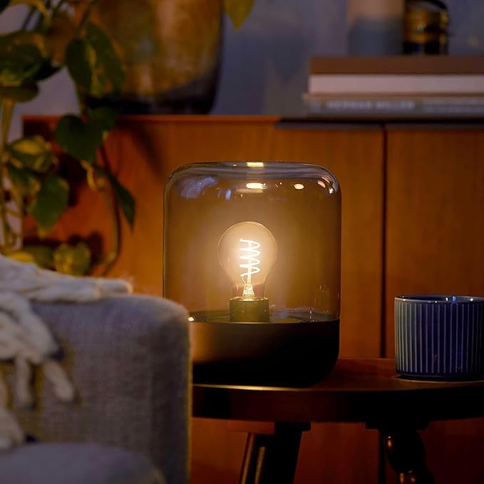 PHILIPS LED 40W A19 1-Pack Vintage Edison Spiral Soft White (2700K) 500 Lumen (5.5W = 40W) Dimmable Clear Flicker-Free Light Bulb