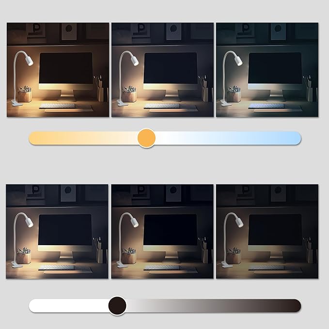 DAMI LED Reading Lights for Bed Headboard, Clip on Spotlight Lamp for Desk, Dorm Bed, Dimmable USB Clamp Book Light with Flexible Gooseneck, Change Color Temperature 3000/4000/6000K