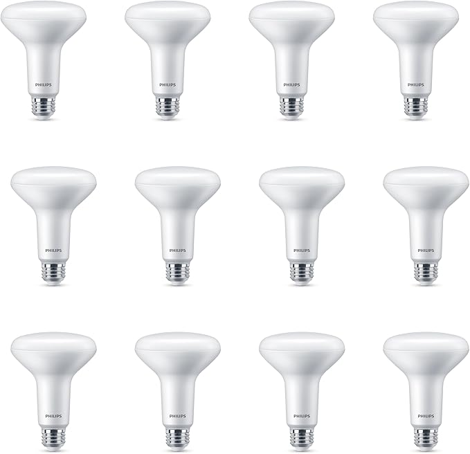 Philips LED 65W BR30 12-Pack Basic LED Daylight (7.2W = 65W) Dimmable Frosted Flicker-Free Light Bulb