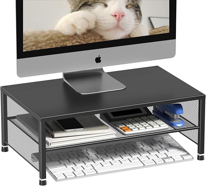 2-Tier Computer Monitor Stand Riser, Desk Organizer for Monitor, Printer & Laptop Stand, Desktop Workspace Organizers for Office Supplies(Black)