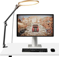 NEEWER Basics 10.5" Streaming Key Lighting, 3000-6500K 15W Full Screen LED Panel Ring Light with Adjustable Arm Stand Desk Clamp Timer for Laptop Computer Video Conference Zoom Makeup, R10