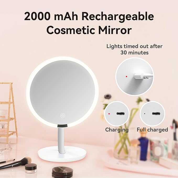 9.65-inch Lighting Makeup Mirror, 1x / 10x,Touch Control,3-Color Adjustable, Metal Stand with Super Stability,up and Down Adjustable Makeup Mirror Surface, High Color Rendering,Silver