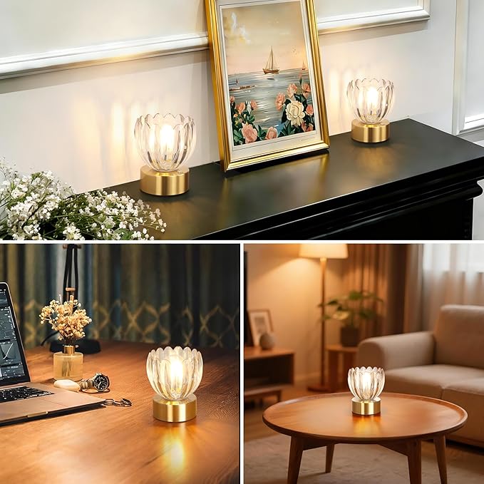 Cordless Small Table Lamp with 5200mAh Battery & Touch Control, Battery Operated Tulip Table Lamp with 3 Colors, Rechargeable Mini Table Lamps for Bedsides, Bedroom, Nightstand (Transparent)