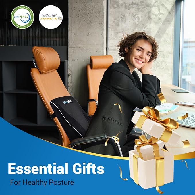 Lumbar Support Pillow for Office Chair Car, Gaming Chair Lower Back Cushion Memory Foam with Greeting Card, 3D Mesh Cover Ergonomic Back Rest, Birthday Gift for Dad, Stocking Stuffers