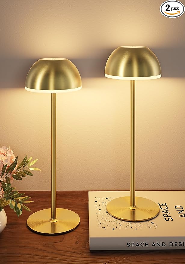 Cordless Table Lamp, Rechargeable, Touch control, 3 Color Temperature, Stepless Dimming, LED Memory Function, Portable, Battery Operated Lamp for Bedroom Restaurant Dinning Kitchen Living Room Home