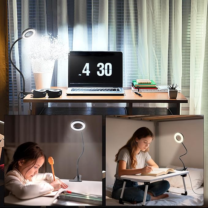 Desk Lamp Clip Light, 10 Dimmable Brightness 3 Light Modes Reading Light, Clamp Bedside Lamp for Painting, Craft, Study (Black)