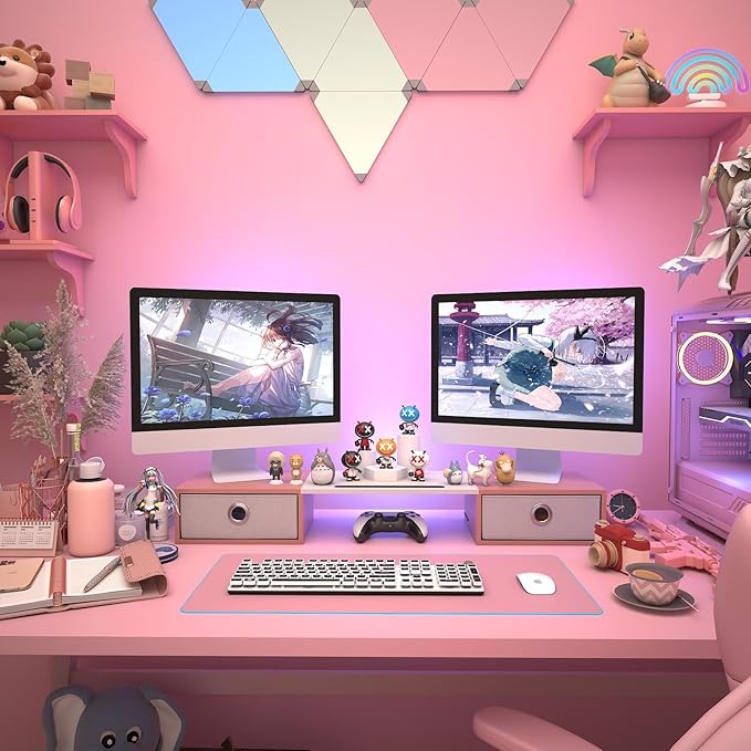WESTREE Dual Monitor Stand Riser – with Two Drawers