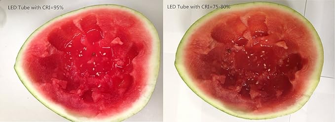 (4-Pack) Not-a-Plug-and-Play (Type B) & Full Spectrum LED Tube Light - T8 4FT 48-Inch 18W (32W Equivalent), Daylight 6000K, F32T8, F34T12/D, Double-End Powered, 85-265V - 95CRI + Flicker Free