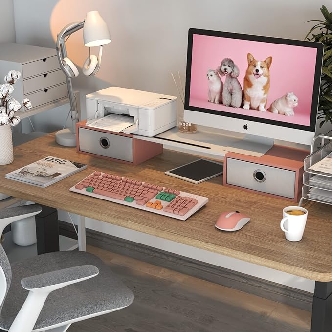 WESTREE Dual Monitor Stand Riser – with Two Drawers