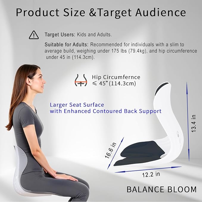 Ergonomic Back Support for Office Chair Cushion with Lumbar Pillow - Posture Corrector for Desk Chairs, Comfortable Memory Foam Seat Cushion for Lower Back & Lumbar Support (Black)
