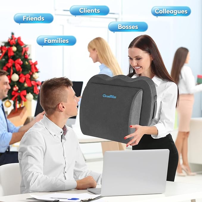CloudBliss Seat Cushion, Office Chair Cushions, Car Seat Cushion, Lumbar Support Pillow for Office Chair, Back Support Memory Foam Pillow Coccyx Cushion for Tailbone, Coccyx & Back Support, Grey