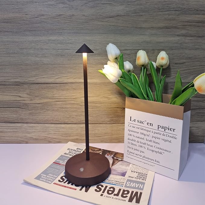 2 PACK Cordless Lamps,Battery Rechargeable Table Lamp,Portable Lamps,2 Level Brightness Dimmable Night Light,Minimalist Design,Cordless Table Lamps for Living Room/Restaurant/Couple Dinner(Rust)