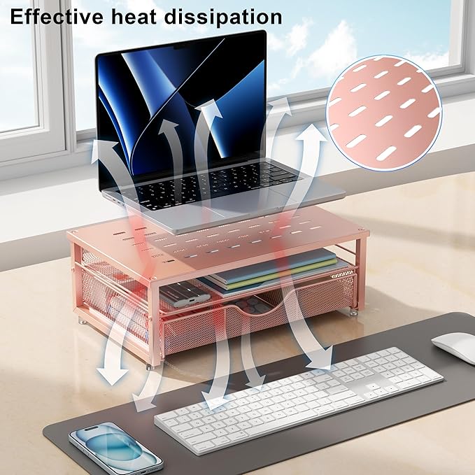 gianotter Computer Monitor Stand Riser – Rose