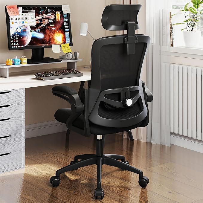 Fizzin Office Chair, Ergonomic Office Chair with High Back Mesh and Adjustable Lumbar Support, Home Mesh Office Desk Chairs with Wheels, Comfortable Gaming Chair for Long Hours (Deep Black)