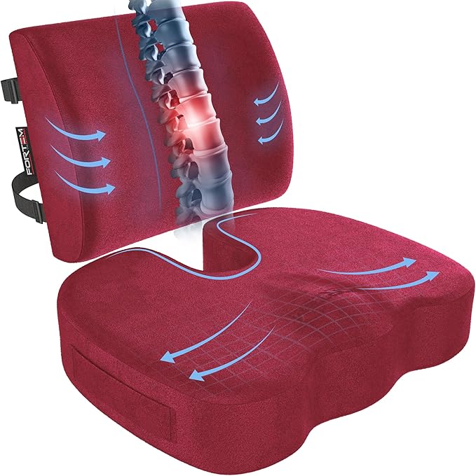 FORTEM Seat Cushion, Office Chair Cushion, Lumbar Support Pillow for Office Chair, Memory Foam Ergonomic Coccyx & Lumbar Support, Car Sitting Pad, Washable Non Slip, XL