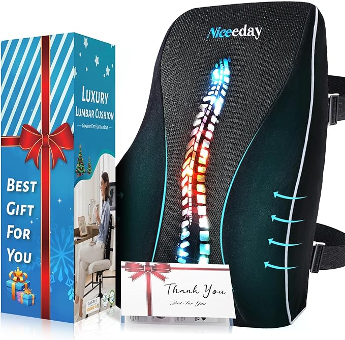 Lumbar Support Pillow for Office Chair Car, Gaming Chair Lower Back Cushion Memory Foam with Greeting Card, 3D Mesh Cover Ergonomic Back Rest, Birthday Gift for Dad, Stocking Stuffers