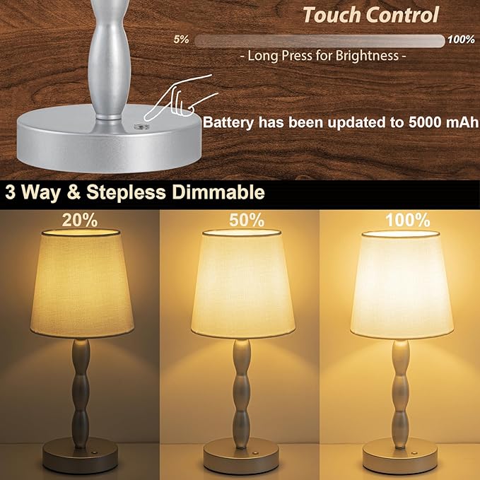 CASTLELIFE Portable Cordless Table Lamp,Touch Desk Lamp Rechargeable Battery Powered, 3-Level Brightness Stepless Dimmable Bedside Night Lamp,for Bedroom/Restaurant/Bars/Outdoor, Bulb Included,Silver