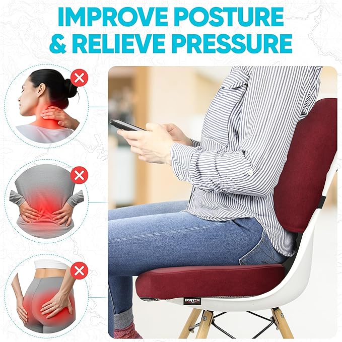 FORTEM Seat Cushion, Office Chair Cushion, Lumbar Support Pillow for Office Chair, Memory Foam Ergonomic Coccyx & Lumbar Support, Car Sitting Pad, Washable Non Slip, XL