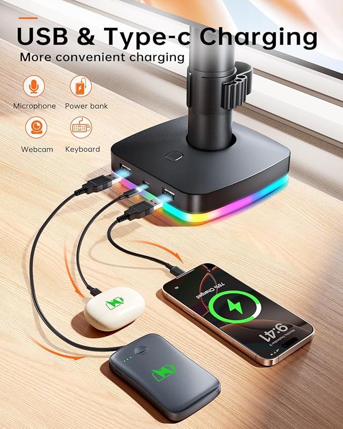 RGB Dual Monitor Desk Mount, Monitor Stand with 3 USB Ports, Charging and USB Data Transfer Function, Adjustable Arms for 13"-27" Monitors up to 17.6lbs, VESA 75x75mm 100x100mm, Ergonomic Design