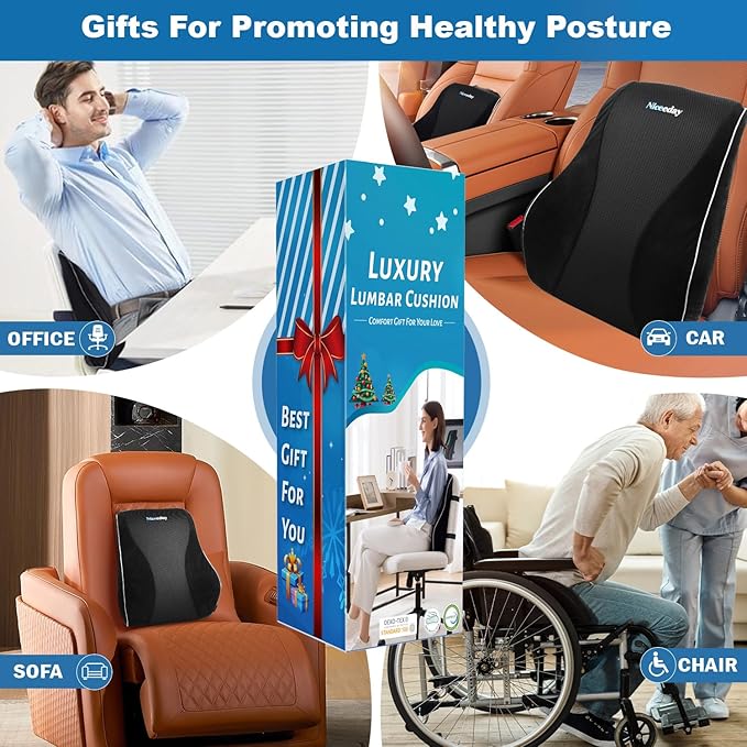 Lumbar Support Pillow for Office Chair Car, Gaming Chair Lower Back Cushion Memory Foam with Greeting Card, 3D Mesh Cover Ergonomic Back Rest, Birthday Gift for Dad, Stocking Stuffers