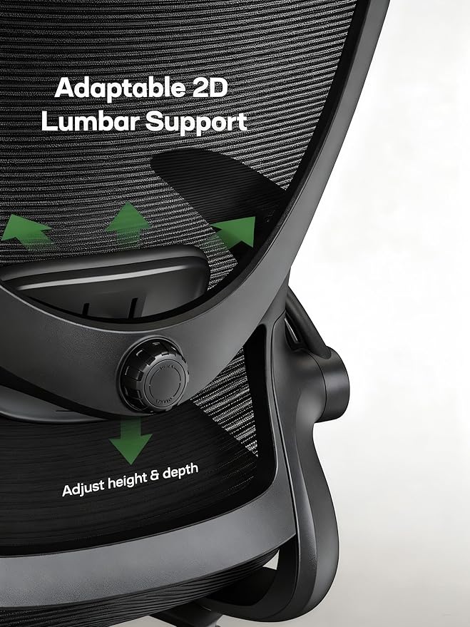 Marsail Ergonomic Office Chair with Adjustable Lumbar Support, 3-Way PU Armrests & Breathable Mesh for Home Office and Gaming