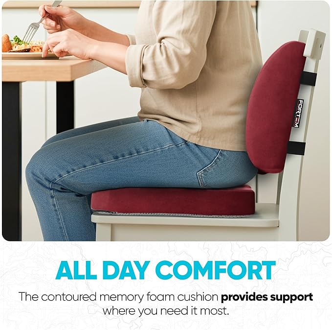 FORTEM Seat Cushion, Office Chair Cushion, Lumbar Support Pillow for Office Chair, Memory Foam Ergonomic Coccyx & Lumbar Support, Car Sitting Pad, Washable Non Slip, XL