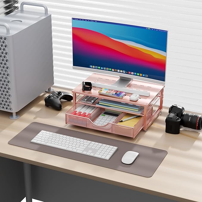 gianotter Computer Monitor Stand Riser – Rose