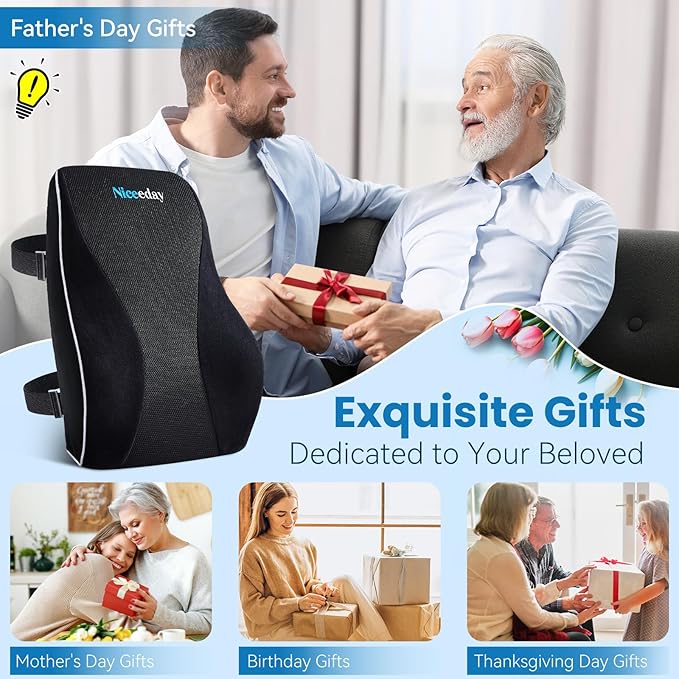 Lumbar Support Pillow for Office Chair Car, Gaming Chair Lower Back Cushion Memory Foam with Greeting Card, 3D Mesh Cover Ergonomic Back Rest, Birthday Gift for Dad, Stocking Stuffers