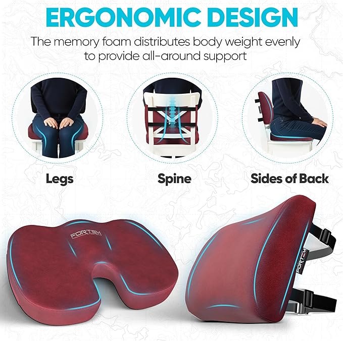 FORTEM Seat Cushion, Office Chair Cushion, Lumbar Support Pillow for Office Chair, Memory Foam Ergonomic Coccyx & Lumbar Support, Car Sitting Pad, Washable Non Slip, XL