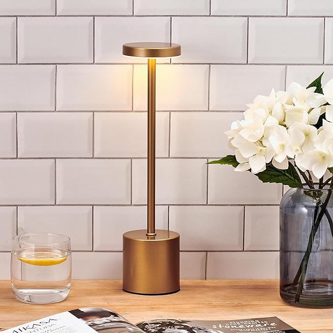 Elements 13-Inch Rechargeable LED Desk Lamp - Metal Construction with Touch Control, 3 Light Colors, Stepless Dimming, 1200mAh Battery, USB-C Charging, Perfect for Home Office and Table Lighting